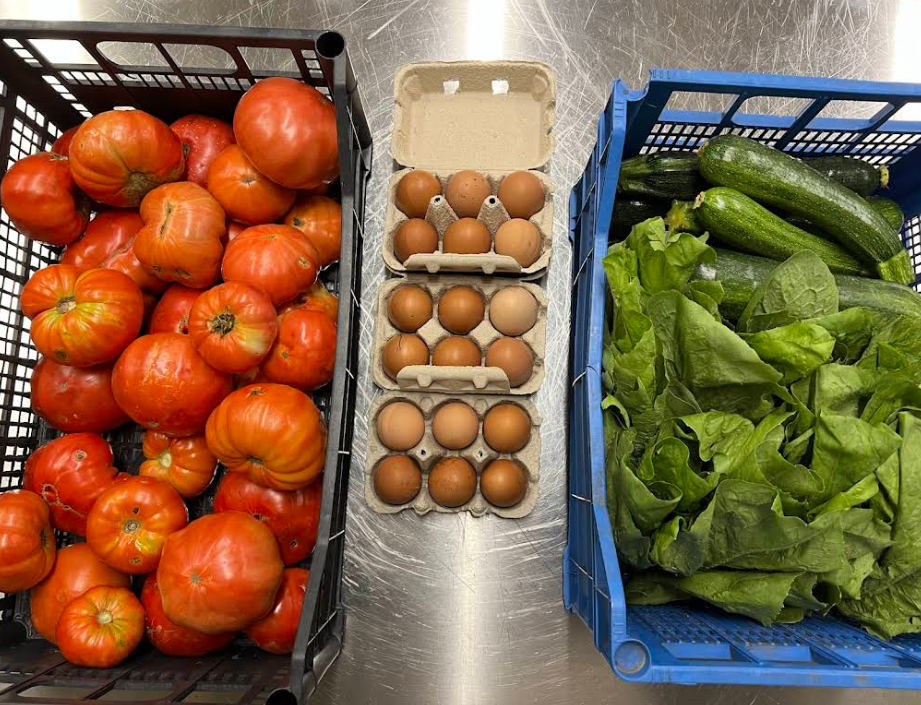 pomodori, uova, insalata e zucchine