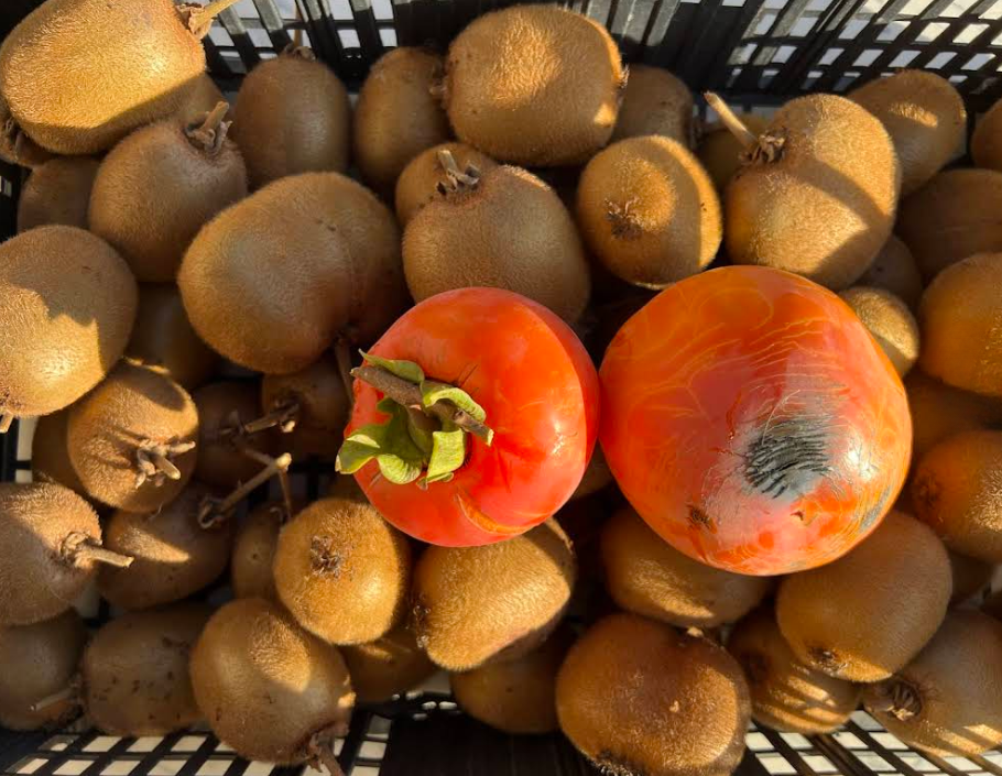 kiwi e cachi prodotti