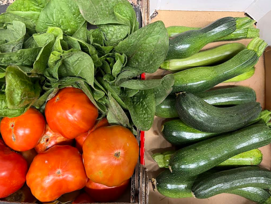 pomodori, zucchine prodotte nell'orto